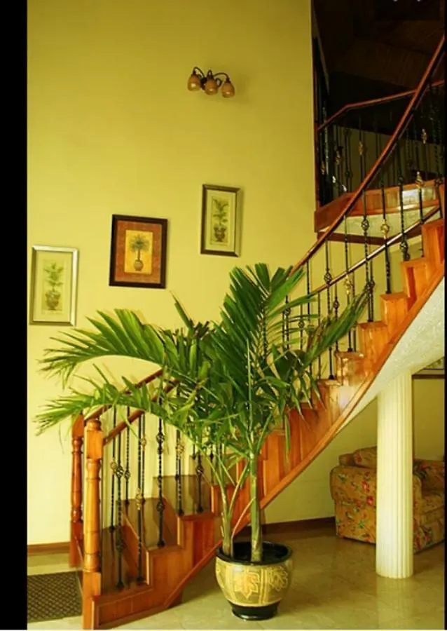 Hostel Mountain Top Villa Kupuis Jamaica